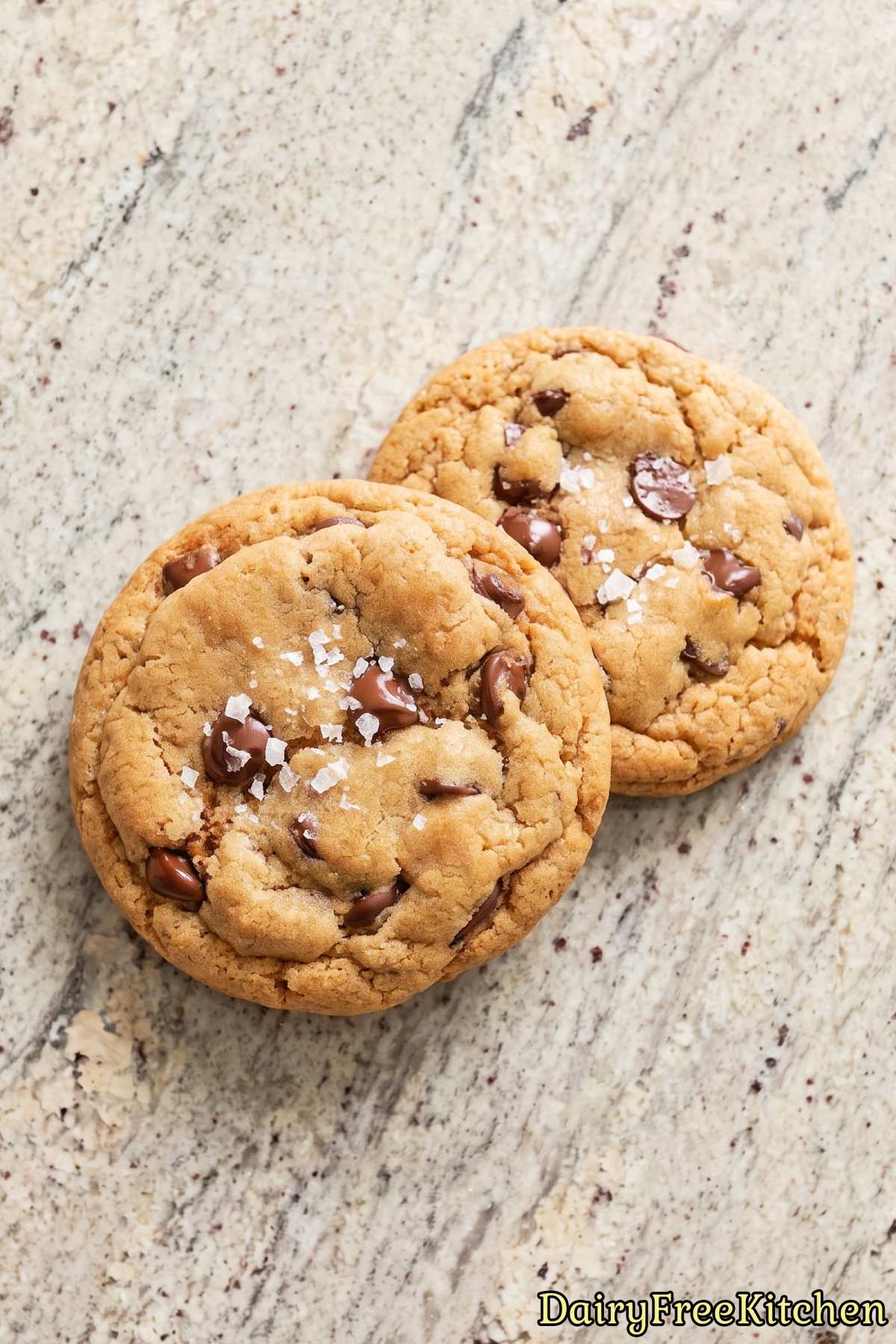 Chewy dairy free bakery chocolate chip cookies