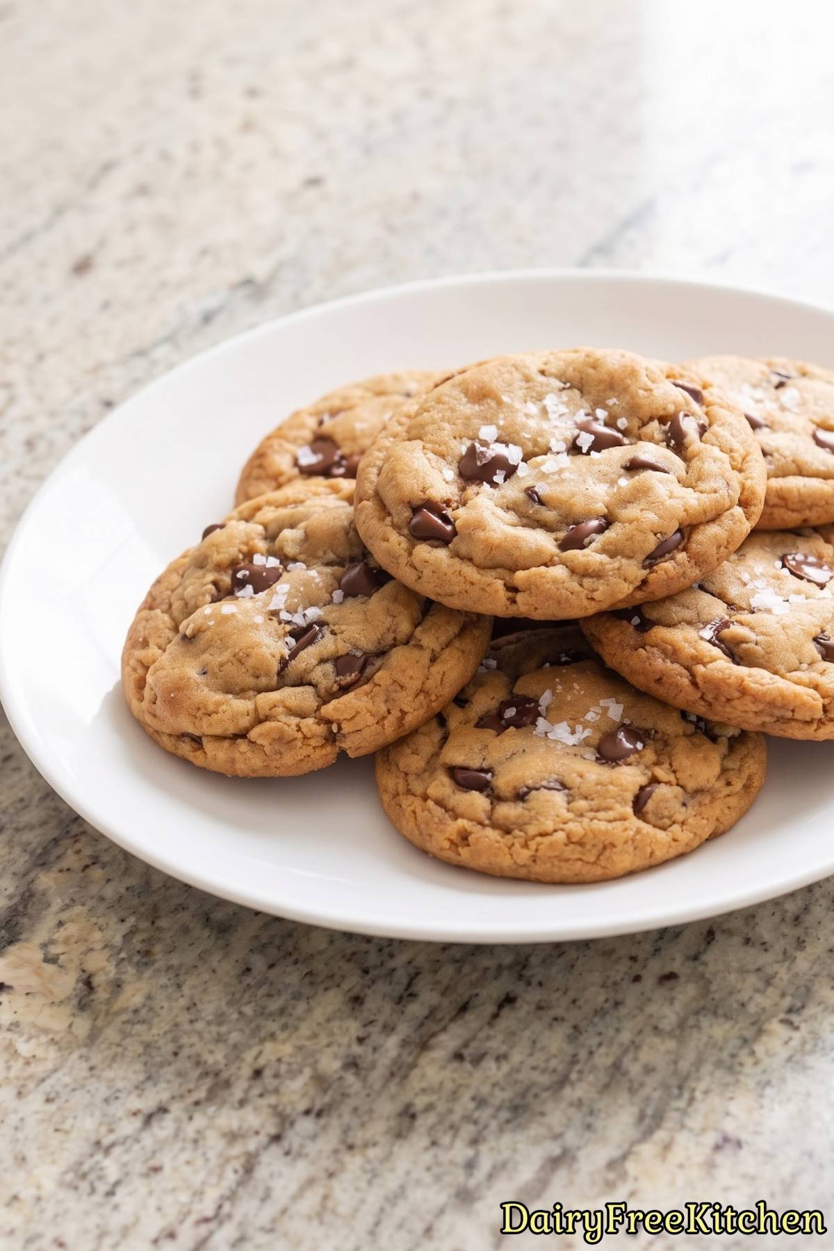 Fresh dairy free chocolate chip cookies