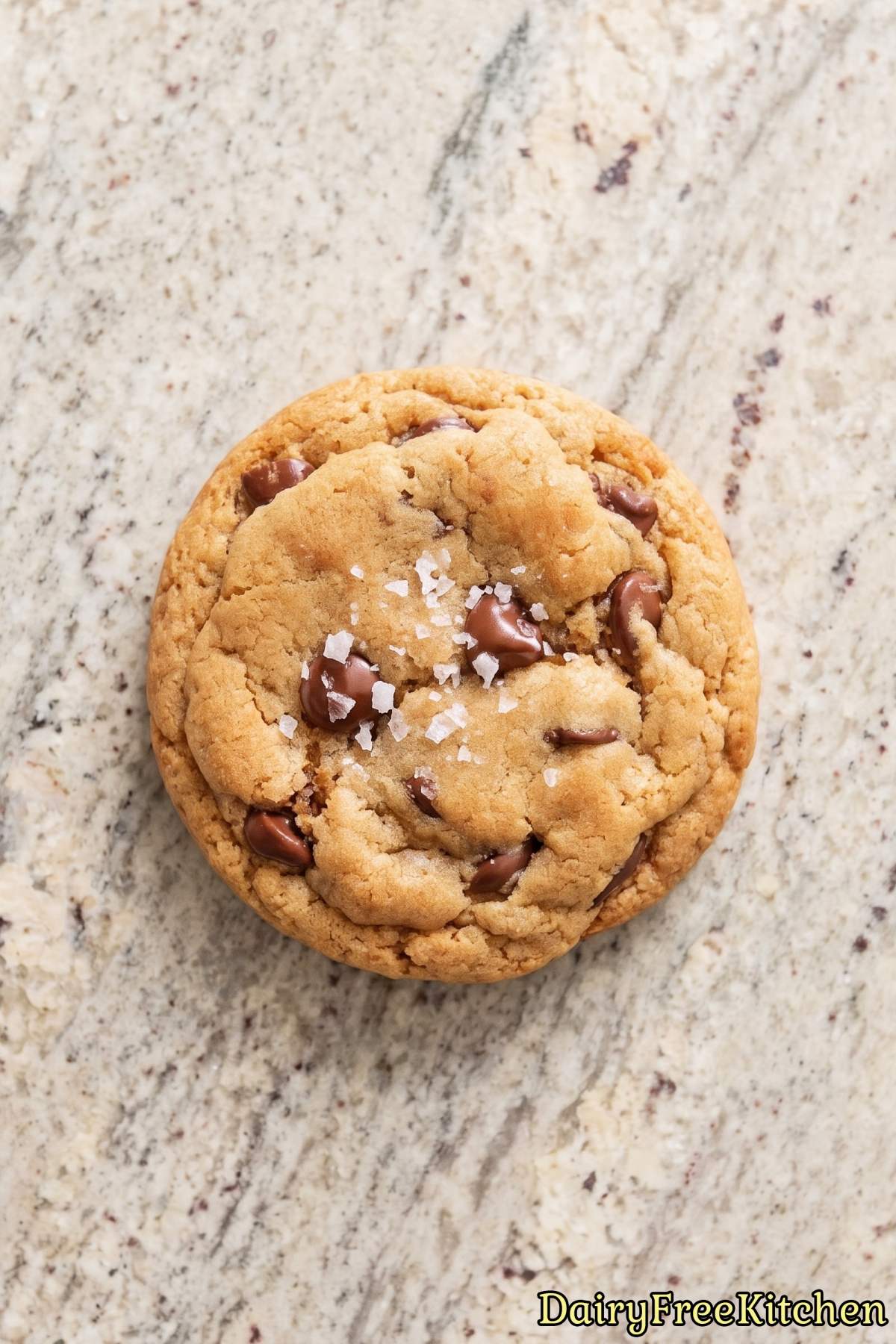 Rich dairy free bakery style chocolate cookies