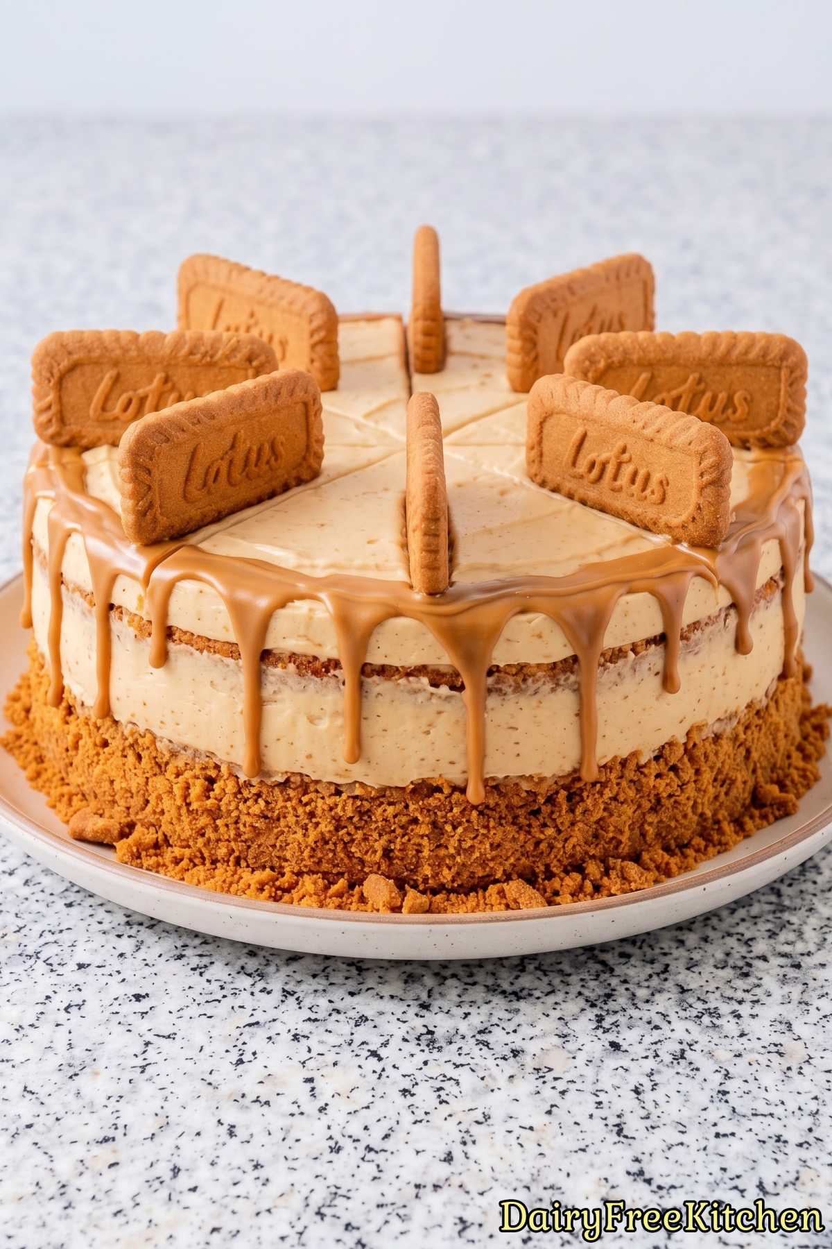 Soft dairy free Biscoff cake with crumbs