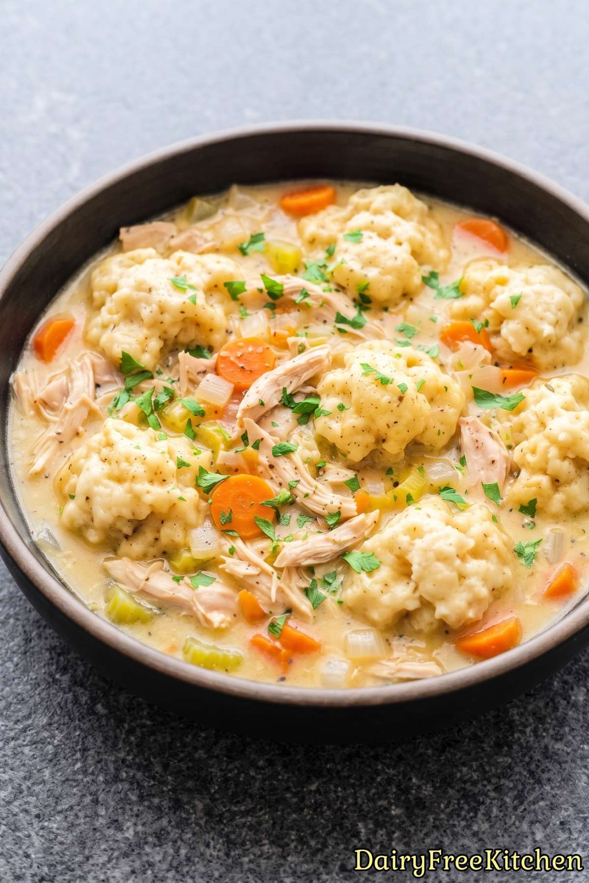 Hearty dairy free chicken and dumplings