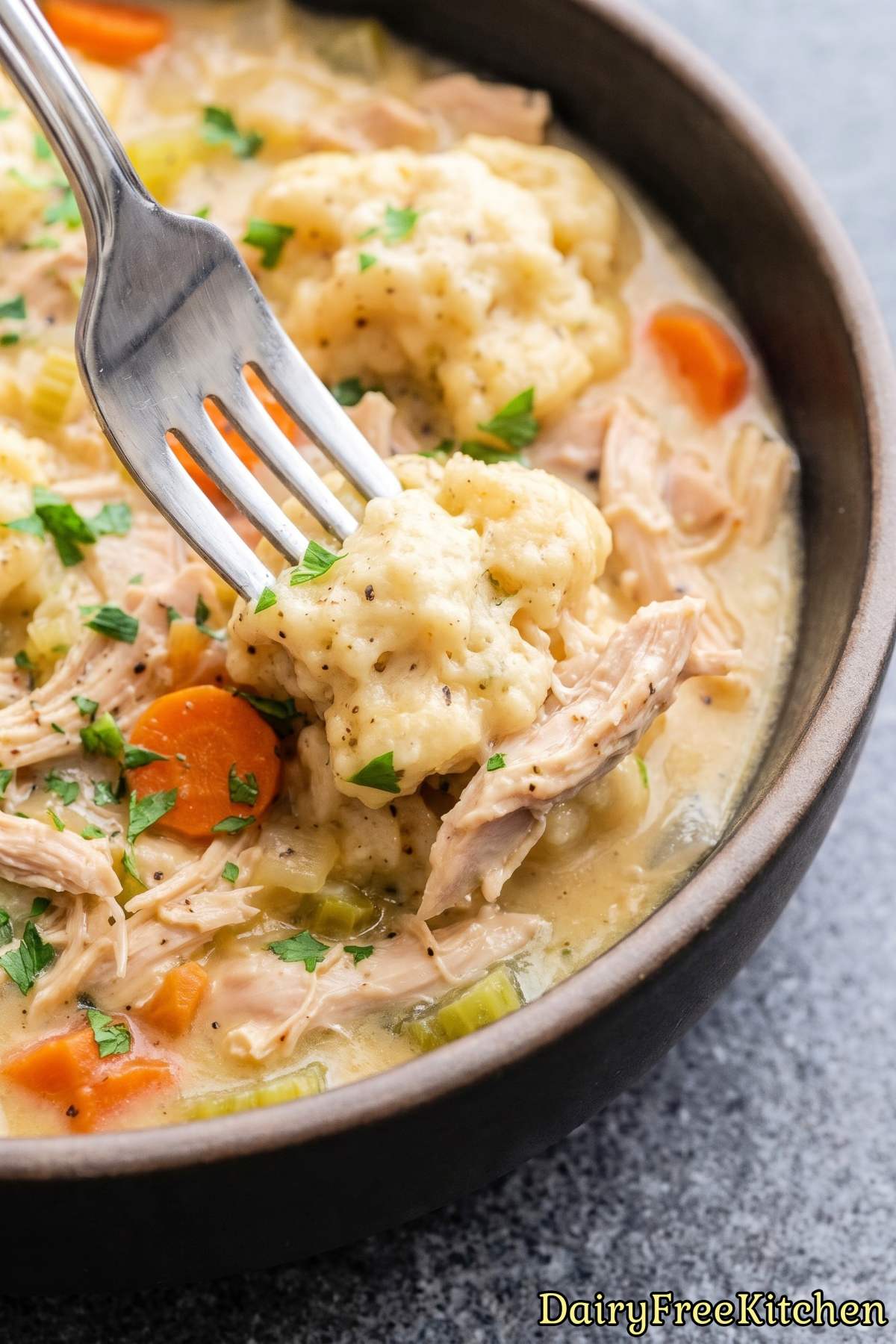 Tender dairy free chicken and dumplings