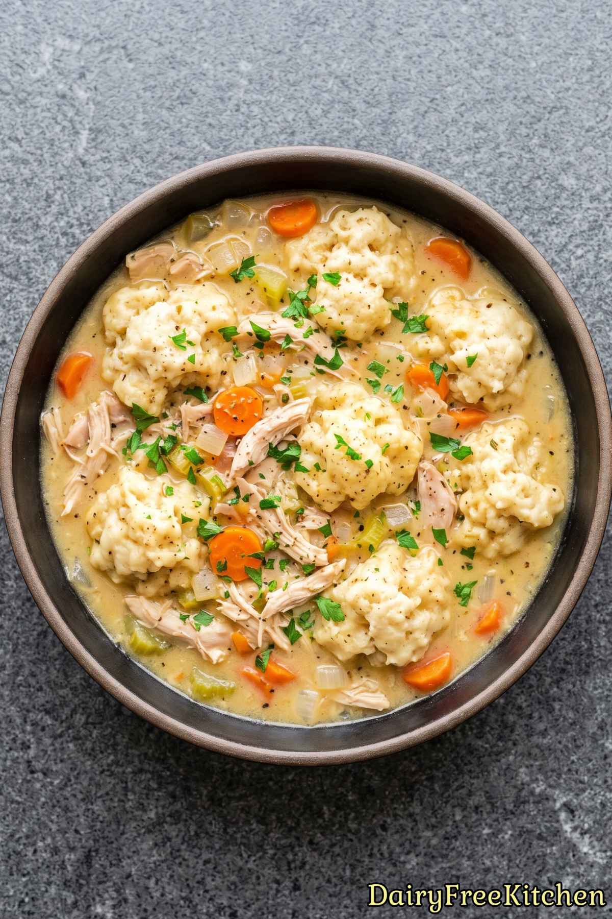 Warm dairy free chicken and dumplings
