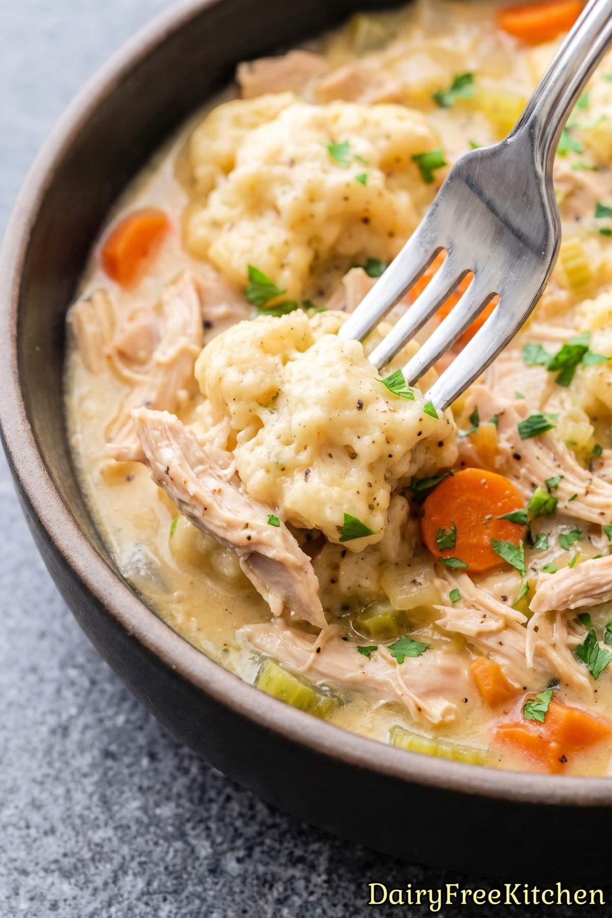 Easy dairy free chicken and dumplings