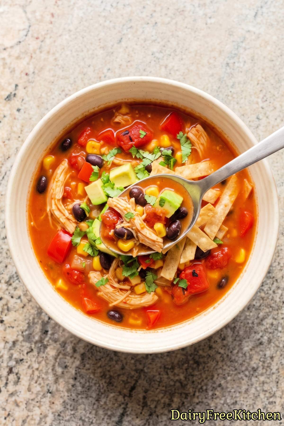 Hearty chicken enchilada soup with toppings