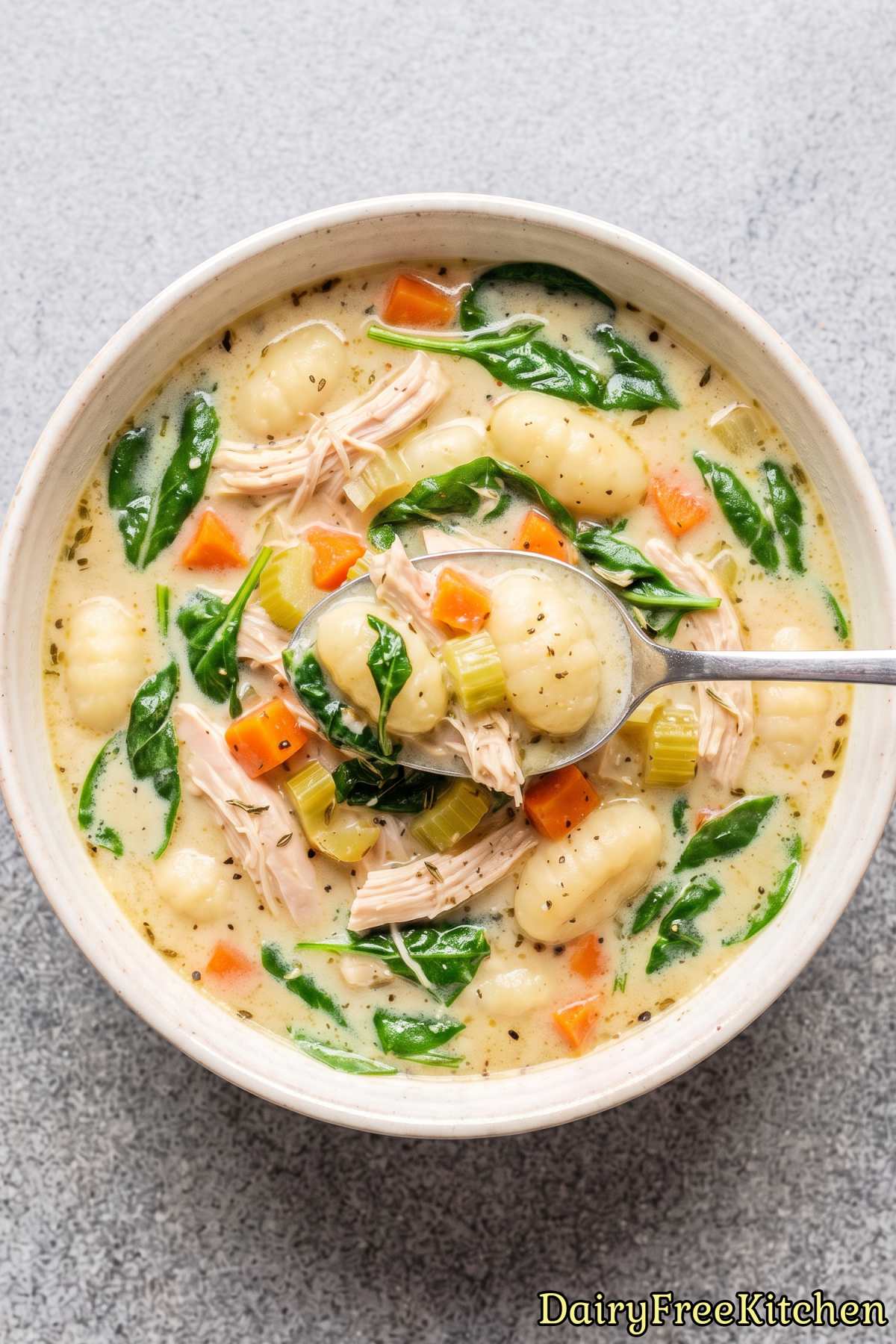 Fresh dairy free chicken gnocchi soup in bowl