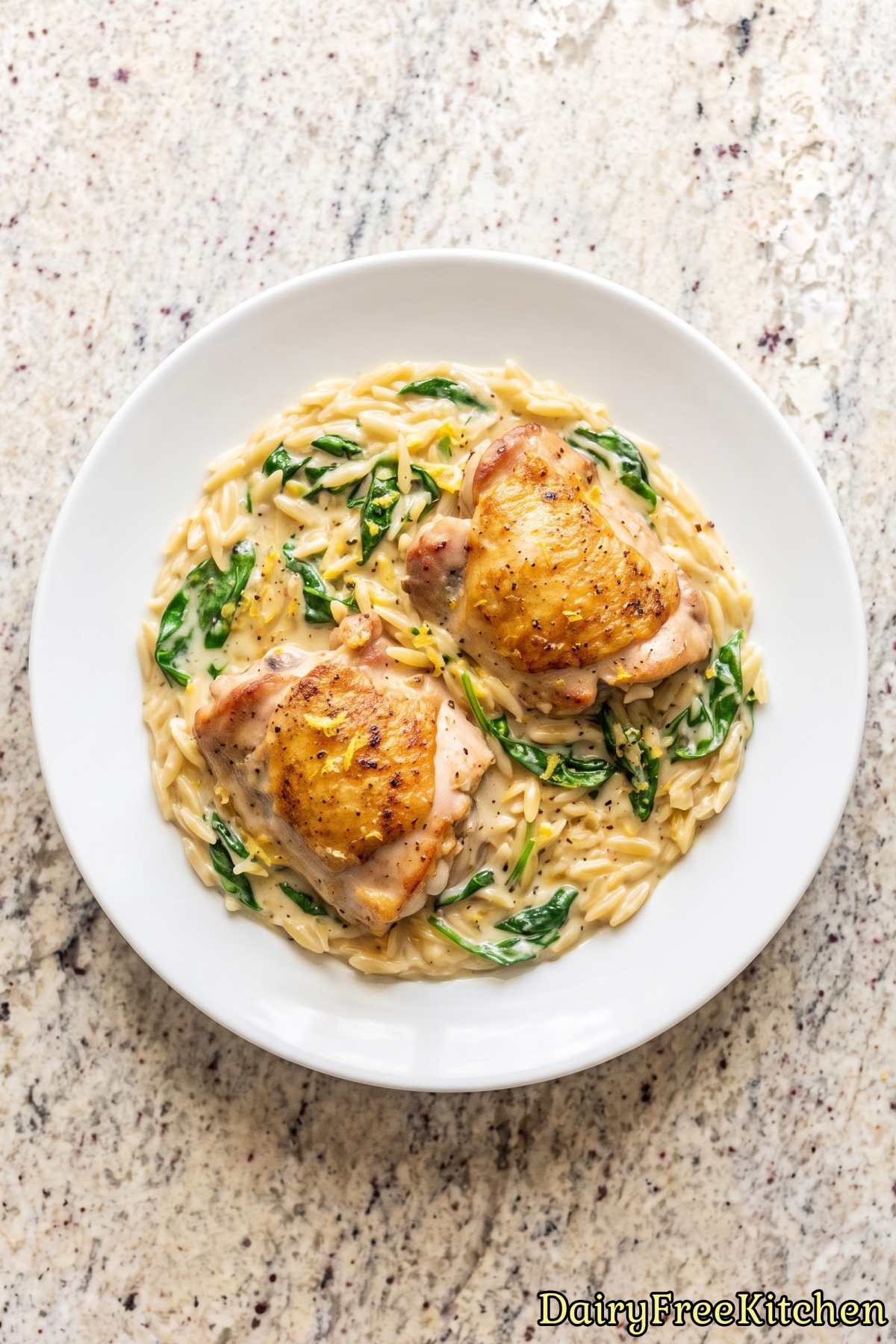 Warm and savory lemon chicken orzo