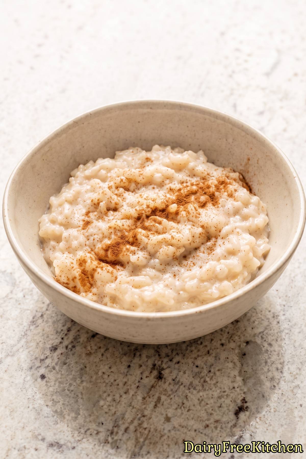 Fresh homemade vegan rice pudding