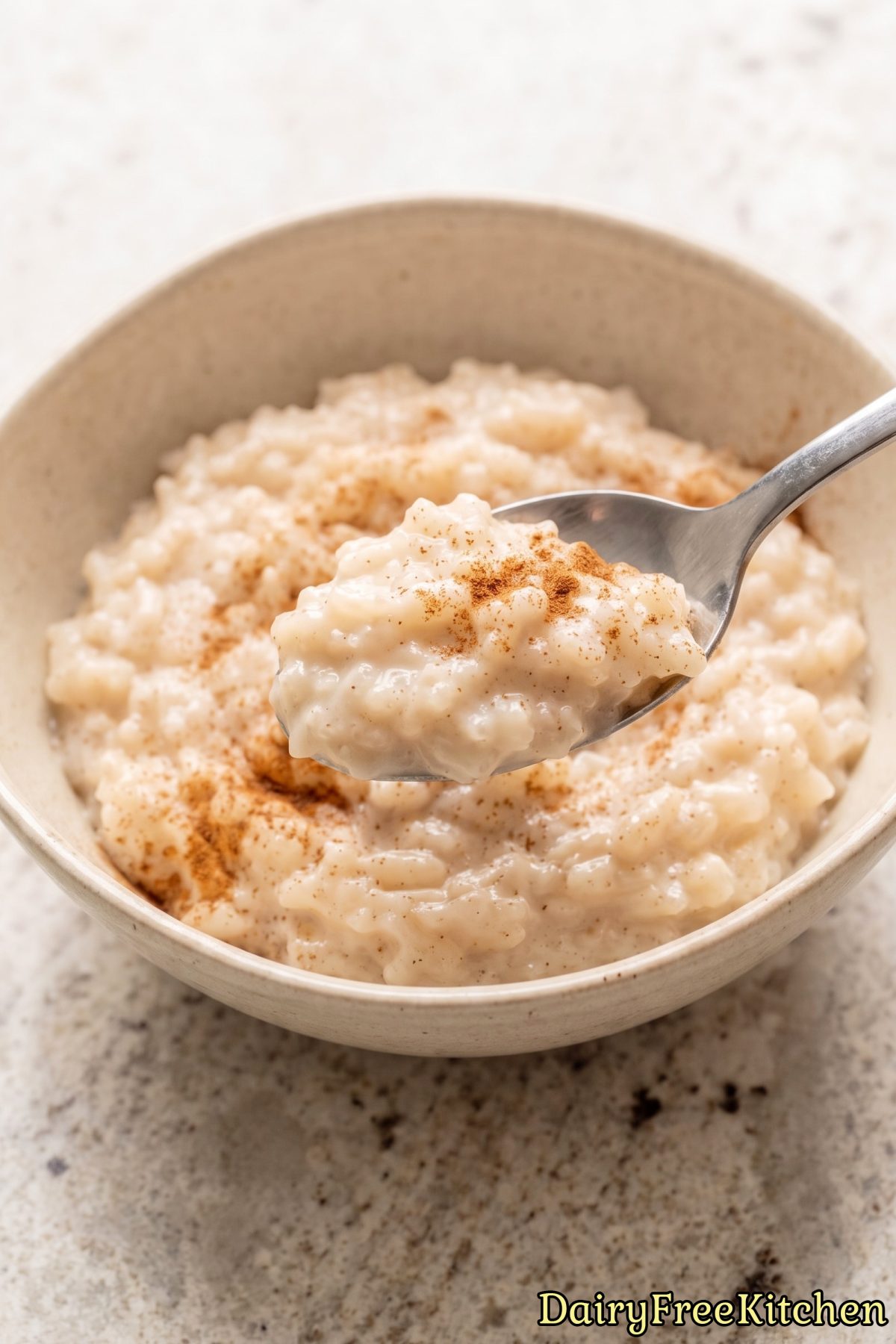 Warm bowl of easy dairy free rice pudding