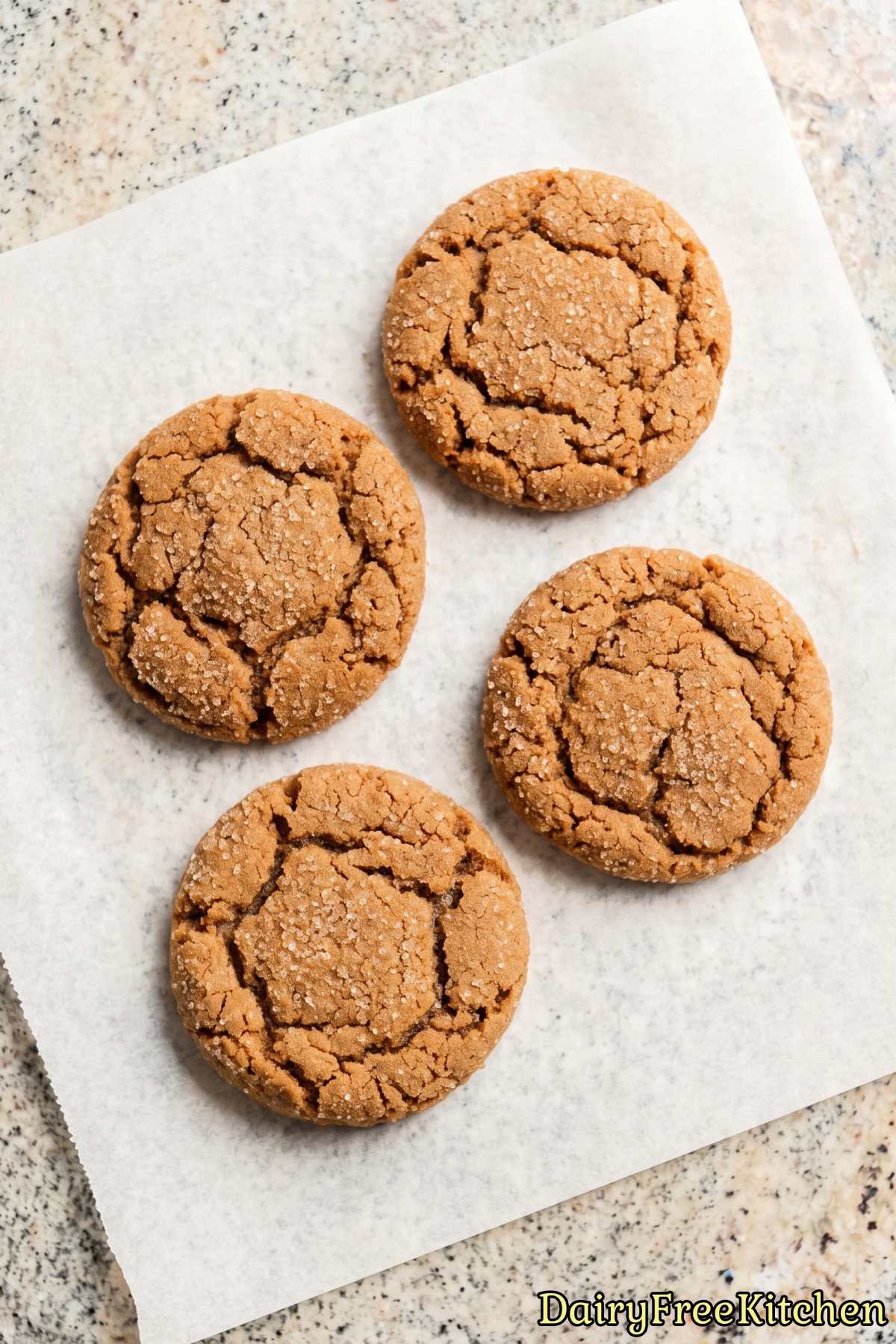 Dairy free ginger molasses cookies on a plate