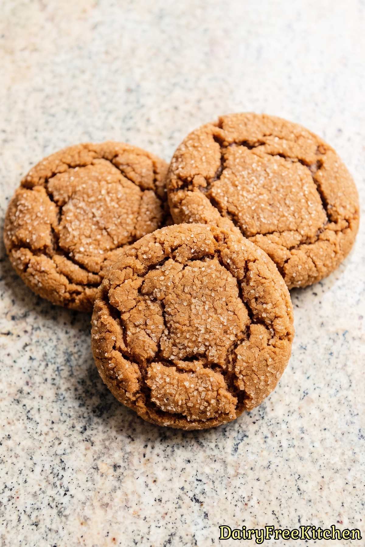 Holiday dairy free ginger molasses cookies