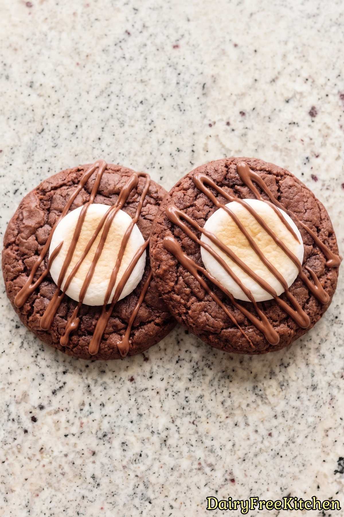 Chewy dairy free hot cocoa cookies