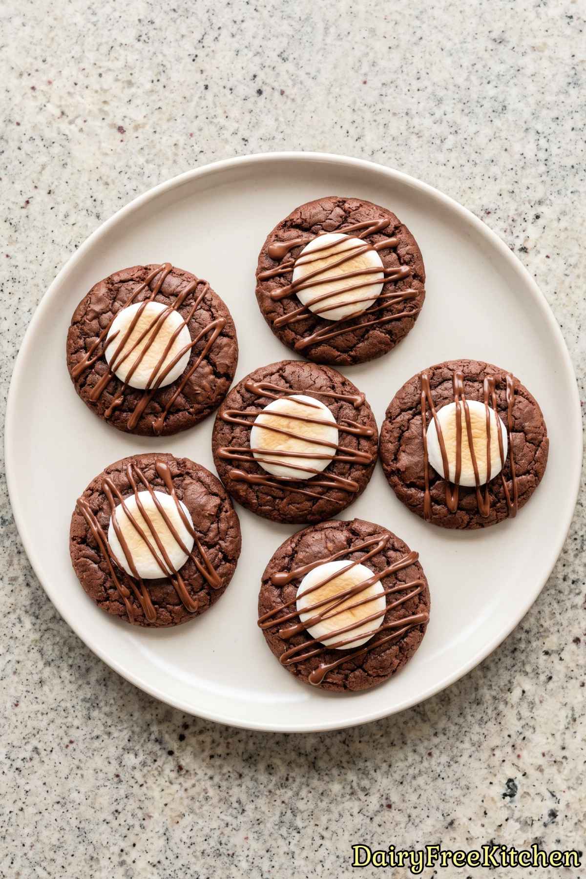 Warm dairy free chocolate cookies