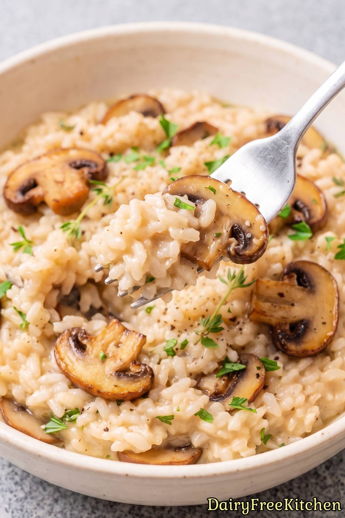 Rustic dairy free mushroom risotto dish