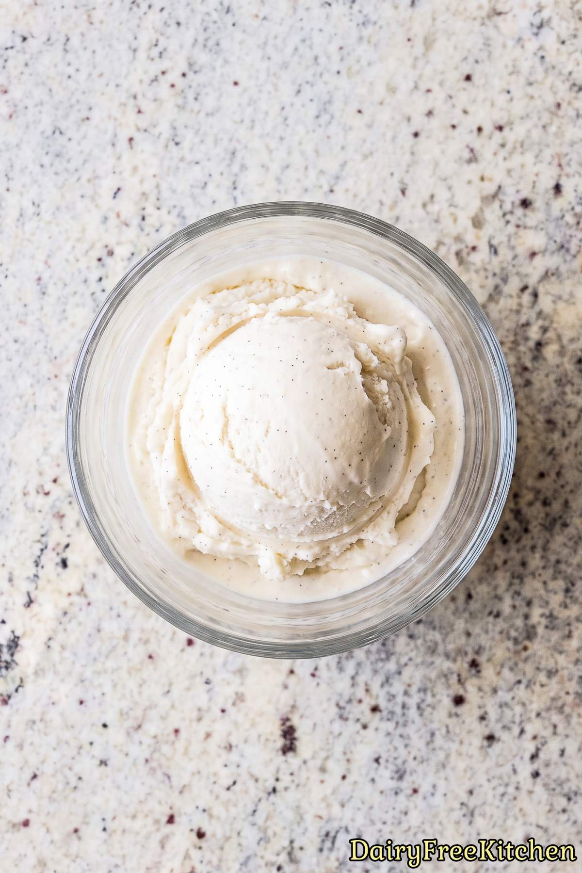 Delicious no churn dairy free vanilla ice cream.