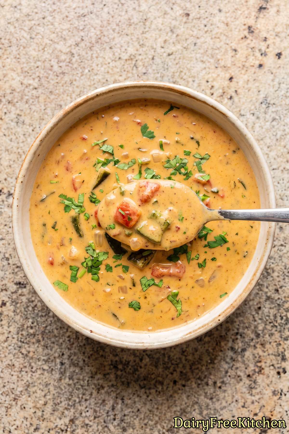 Flavorful dairy free poblano queso dip