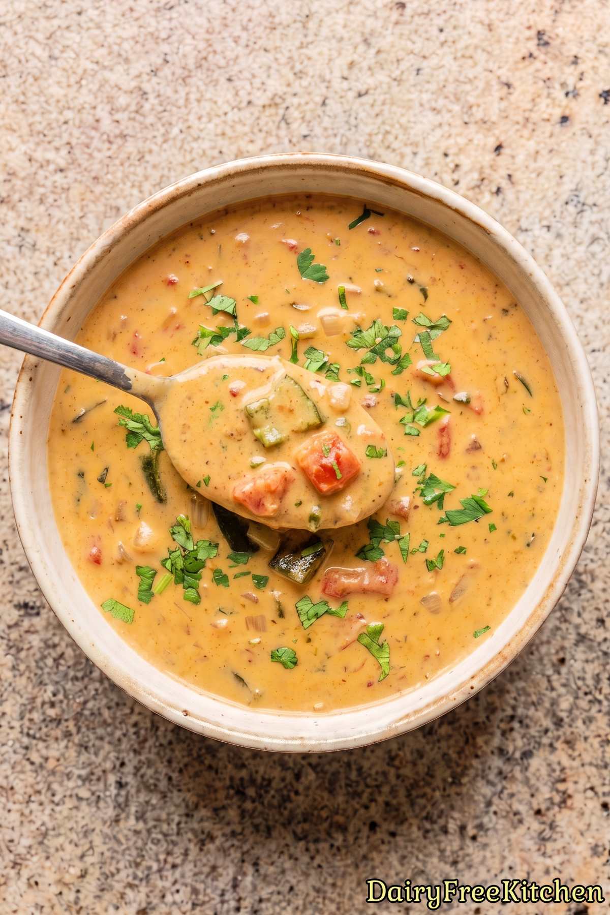 Smooth dairy free roasted poblano dip