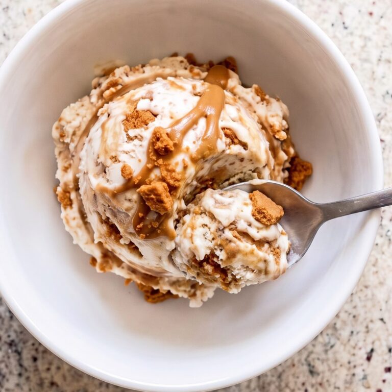 Dairy Free Cookie Butter Swirl Ice Cream