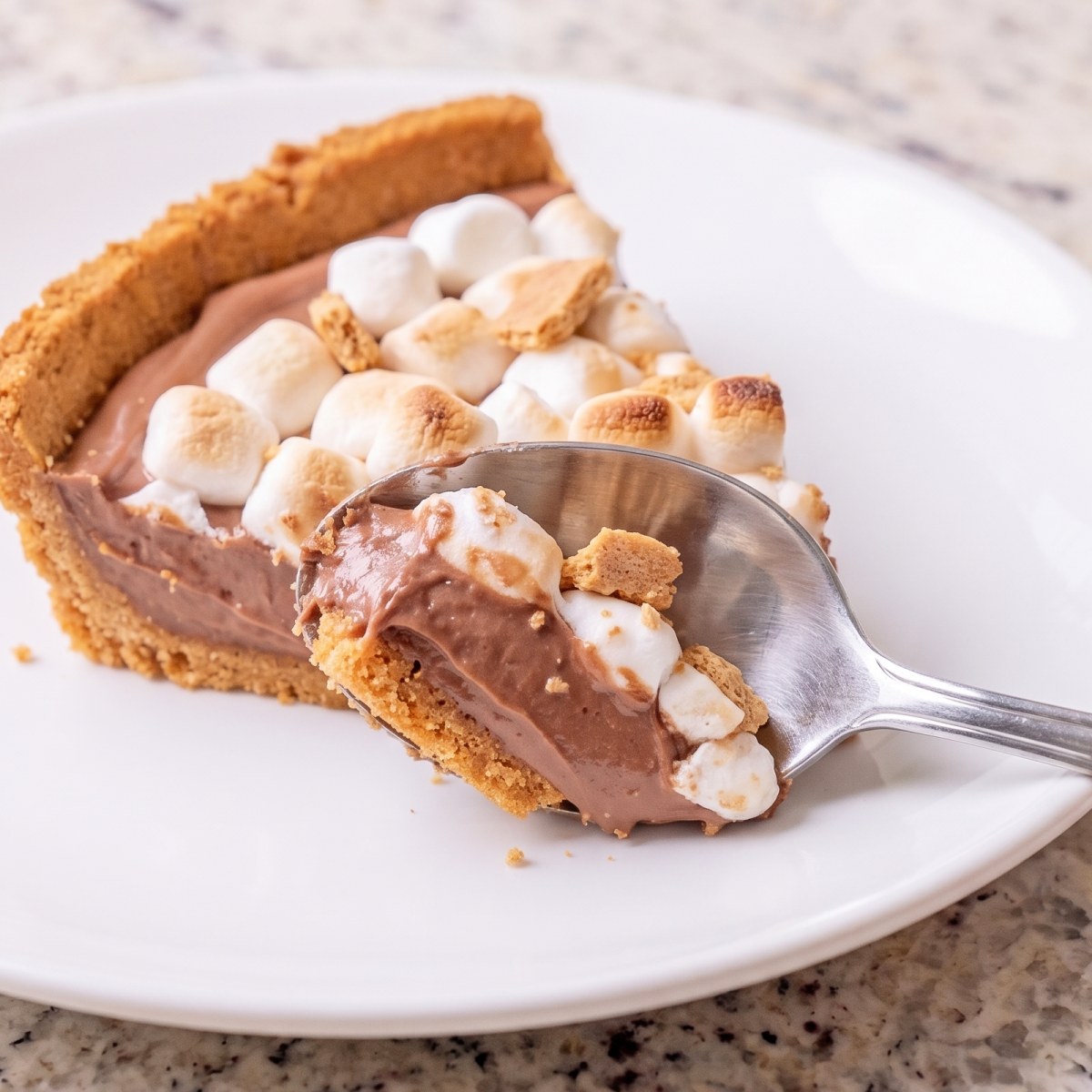 Dairy Free S'mores Icebox Pie